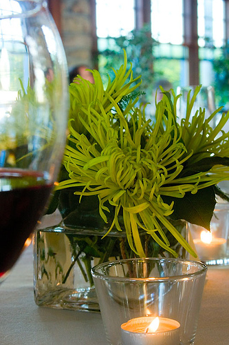 green carnation in a cube vase