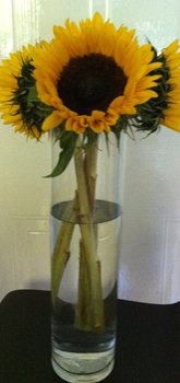 sunflowers in tall cylinder vase